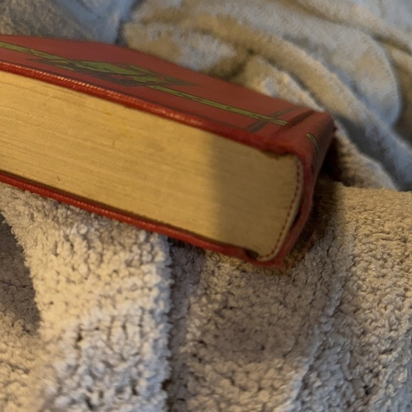 Rare 1917 Copy of Louisa May Alcott’s “Eight Cousins”- See Photos Illustrated - Picture 13 of 13